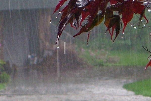 افزایش سطح آب های زیرزمینی در بعضی دشت های همدان