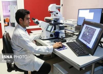 خدمات اولیه رایگان در مرکز درمان ناباروری ابن سینا