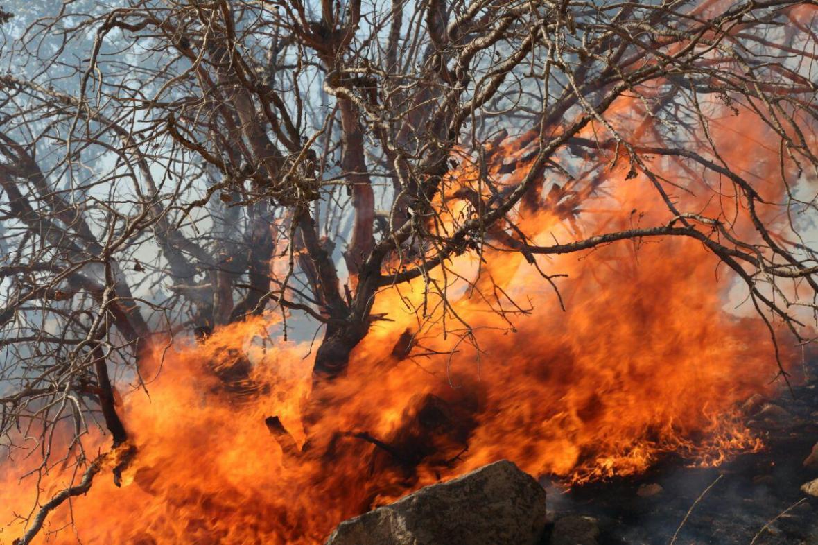 نابودی بیش از 9 هزار هکتار از جنگل های گچساران بر اثر آتش سوزی