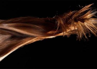 خوابیدن با موی خیس چه مضراتی به دنبال دارد؟