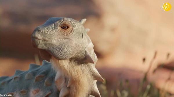 کشف بقایای اولین دایناسور زره پوش در آمریکای جنوبی
