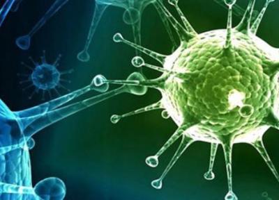 شناسایی یک ژن که باعث می گردد به آنفولانزا مبتلا نشوید