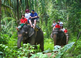 پارک ملی Khao Phra Thaeo