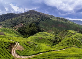 بهترین زمان سفر به مالزی