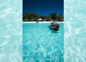 دلایل محبوبیت تایلند