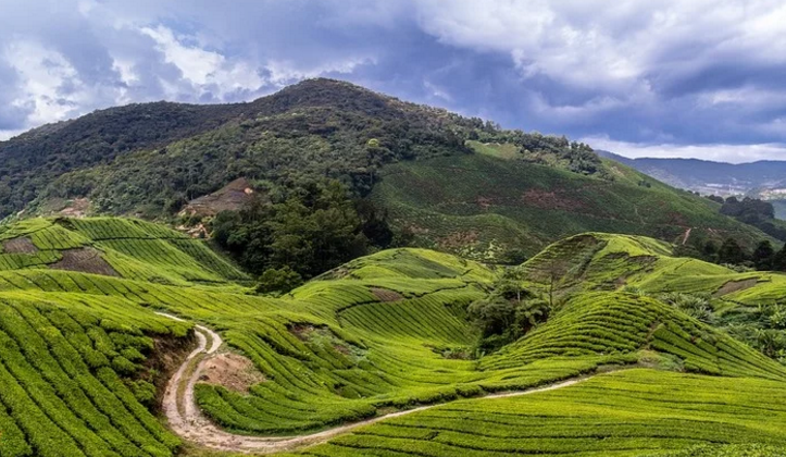 malasya nature بهترین زمان سفر به مالزی